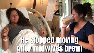 TAKING MIDWIVES BREW  LABOR AND DELIVERY [upl. by Filmore]