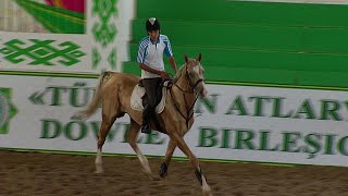 Turkmenistans AkhalTeke the worlds oldest horse [upl. by Ecinahs423]