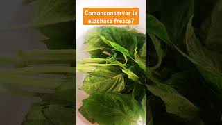 Como conservar la albahaca fresca cocinaparatodos recetasfaciles recetaeconomica enminutos [upl. by Einnaej]