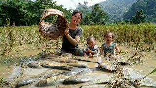 Harvest giant fish with your children to sell at the market  buy clothes to keep your children warm [upl. by Naicad]