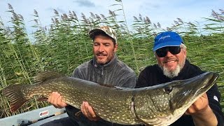 Fishing in Finland Pike fishing lodge [upl. by Rehtul]