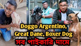 German Shepherd Boxer dogGreat Dane dog Doggo ArgentinoDog farm in bangladesh Dog price in 2023 [upl. by Bathelda]