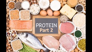 proteins biochemistry protein structure protein synthesis protein foods protein zoologyTertiary [upl. by Erlene144]