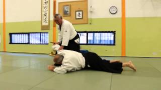 Tanto Dori  Gokyo  Aikido [upl. by Ira]