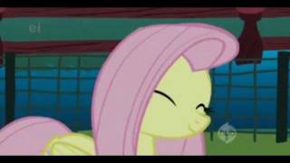 PMV Fluttershys Lament [upl. by Puglia]