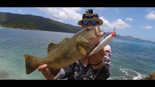 Big Coral Trout Land Based Fishing Island hopping Queensland [upl. by Danzig390]