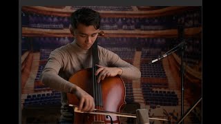 Paul Kaul cello demonstrated by Guillaume Wang [upl. by Ahsinuq]