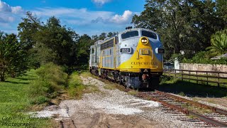 Insane M3H horn action from Clinchfield 800 [upl. by Shauna]