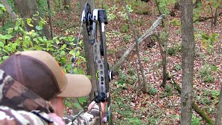 Bowhunting Wisconsin7 Whitetails down [upl. by Niwroc]