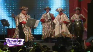 Reventón Musical Guacharacos de Colombia quotCumbia de los Kissquot [upl. by Orfurd]