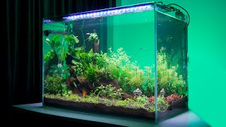 hygger fish house plant tank opening and landscaping process [upl. by Belen]