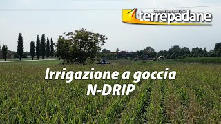 Irrigazione a goccia NDrip [upl. by Geoff778]