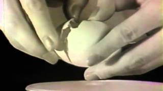 1965 Imperial Sugar Apple UpsideDown Cake TV Commercial [upl. by Ahsaetan473]