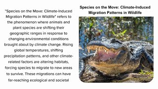 Species on the Move Climate Induced Migration Patterns in Wildlife [upl. by Inger]