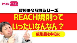 【環境法令解説シリーズ】REACH規則っていったいなんなん？（成形品を中心に） [upl. by Uot360]