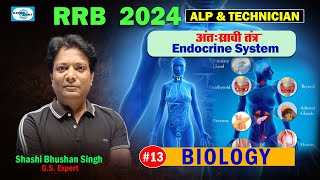 Lec 13 II अंतःस्रावी तंत्र  Endocrine System  II Biology II RRB 2024 ALP amp Technician [upl. by Bartle]