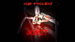 KGB Projekt  Brandenburg Gate Lulu Cover [upl. by Acisej]