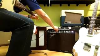 Magnatone Varsity Vs Fender Ltd Ed 65 Princeton Reverb Reissue wG10 Gold [upl. by Yrrek]