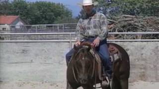 Reining Training Your Horse to Spin pt2 [upl. by Eila]