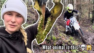 Enduro practice with the Stark Varg Vlog 8 [upl. by Assirak]