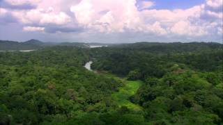 ¿Cuántas especies habitan en la cuenca hidrográfica del Canal de Panamá [upl. by Janie]