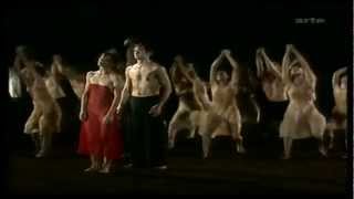 Pina Bausch Wuppertal Dance Theater Le Sacre Du Printemps [upl. by Allicerp]