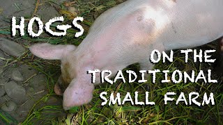 The Hog of the American Farm Past  The FHC Show ep 41 [upl. by Nesyla]