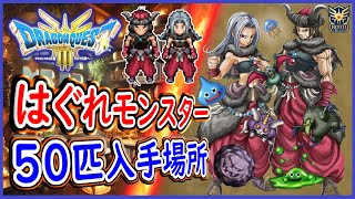 DQ3 HD2D版 はぐれモンスター50匹の入手場所！魔物使い最強特技ビーストモード入手！ドラクエ3リメイク 攻略【メイルス】 [upl. by Victoria]