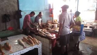 Fish Market Stabroek Market Georgetown [upl. by Kathleen]