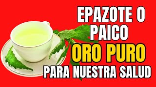 Epazote Paico Propiedades Medicinales💥11 Beneficios Del Epazote O Paico Propiedades Curativas Paico [upl. by Tihom]