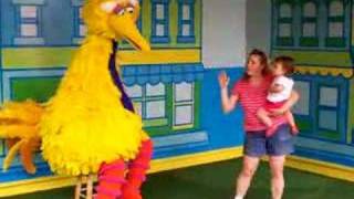 SESAME PLACE BIG BIRD [upl. by Gen566]