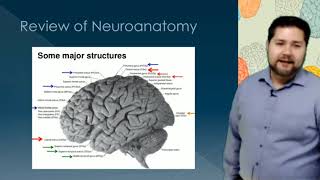 Neuropathology Lecture [upl. by Spieler]