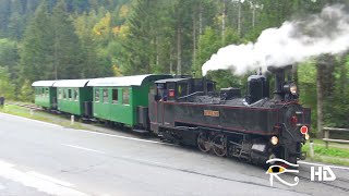 Feistritztalbahn FTB – HerbstFahrtag BirkfeldKoglhof mit U8 01102022 [upl. by Etnohc31]