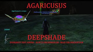 Night of Shadows  Agaricusus  Deepshade T2  How to EverQuest Necromancer [upl. by Anerak]