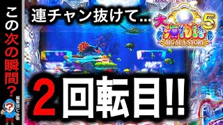 【P大海物語5】実践動画！抜けて2回転で奇跡が⁉️編集部ビル君実践動画20241027） [upl. by Eziechiele850]