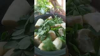 Boiled cassavakappa Tapioca with lunu miris manioc recipe short [upl. by Zeta]