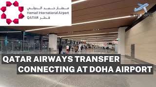 🇶🇦 Doha Hamad Airport DOH Transfer and Connection Process [upl. by Ylelhsa856]