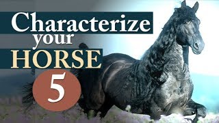 KFH HorseCharacters 5  All Riders Horsemanship Basics [upl. by Dnalon]