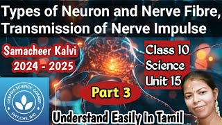 Types of Neurons and Nerve Fibres Transmission of Nerve Impulse Class 10 Science Term 1 Unit 15 [upl. by Atikal]