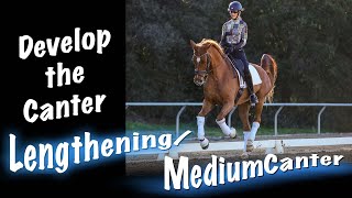 Develop the Canter Lengthening Medium Canter [upl. by Nipsirc]