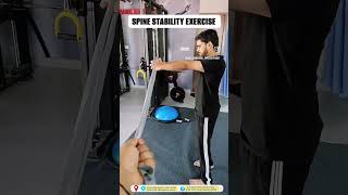 Try this exercise for disc herniation sciaticalower back pain hip pain shorts [upl. by Blackstock]