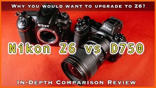 Nikon Z6 vs D750  InDepth Comparison Review [upl. by Tattan]