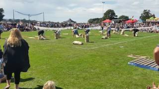 2017 Thorpdale Potato Festival  Potato Picking Competition [upl. by Yacov]