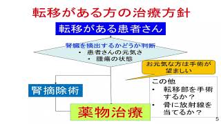 【Japan Cancer Forum2018】腎がん～腎がんでつかう薬物の最新情報～ [upl. by Caria]