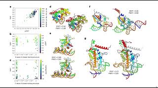 Accurate Prediction of ProteinNucleic Acid Complexes Using RoseTTAFoldNA Baek et al 2023 [upl. by Akemed763]