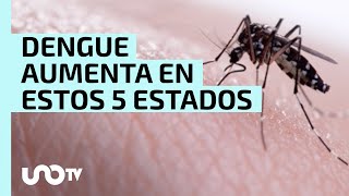 Alertan por aumento de casos de dengue 5 estados con más casos [upl. by Collar]