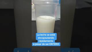 Polímero absorbente de alto peso molecular capaz de absorber leche con grasa absorber [upl. by Thibault535]