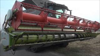 CLAAS In Campo LEXION 770 TT Riccardi [upl. by Godden]