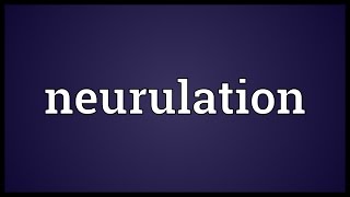 Neurulation Meaning [upl. by Sallee718]