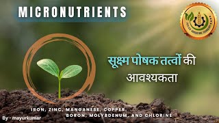 Plant Micronutrients  indianagriculturetechnology [upl. by Enicar]